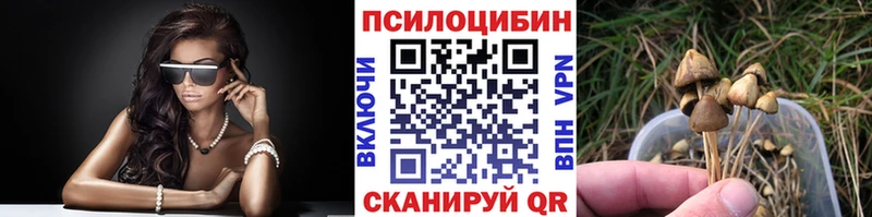 Псилоцибиновые грибы Psilocybine cubensis  Медвежьегорск 